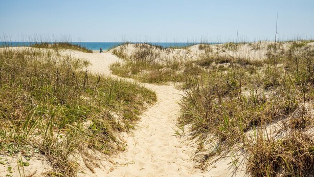 A sandy path leading to a beach with dunes and sparse vegetation. - Happy Waves-Oceanfront Condo! Sleeps 7! Tons of amenities! (Atlantic Beach)
