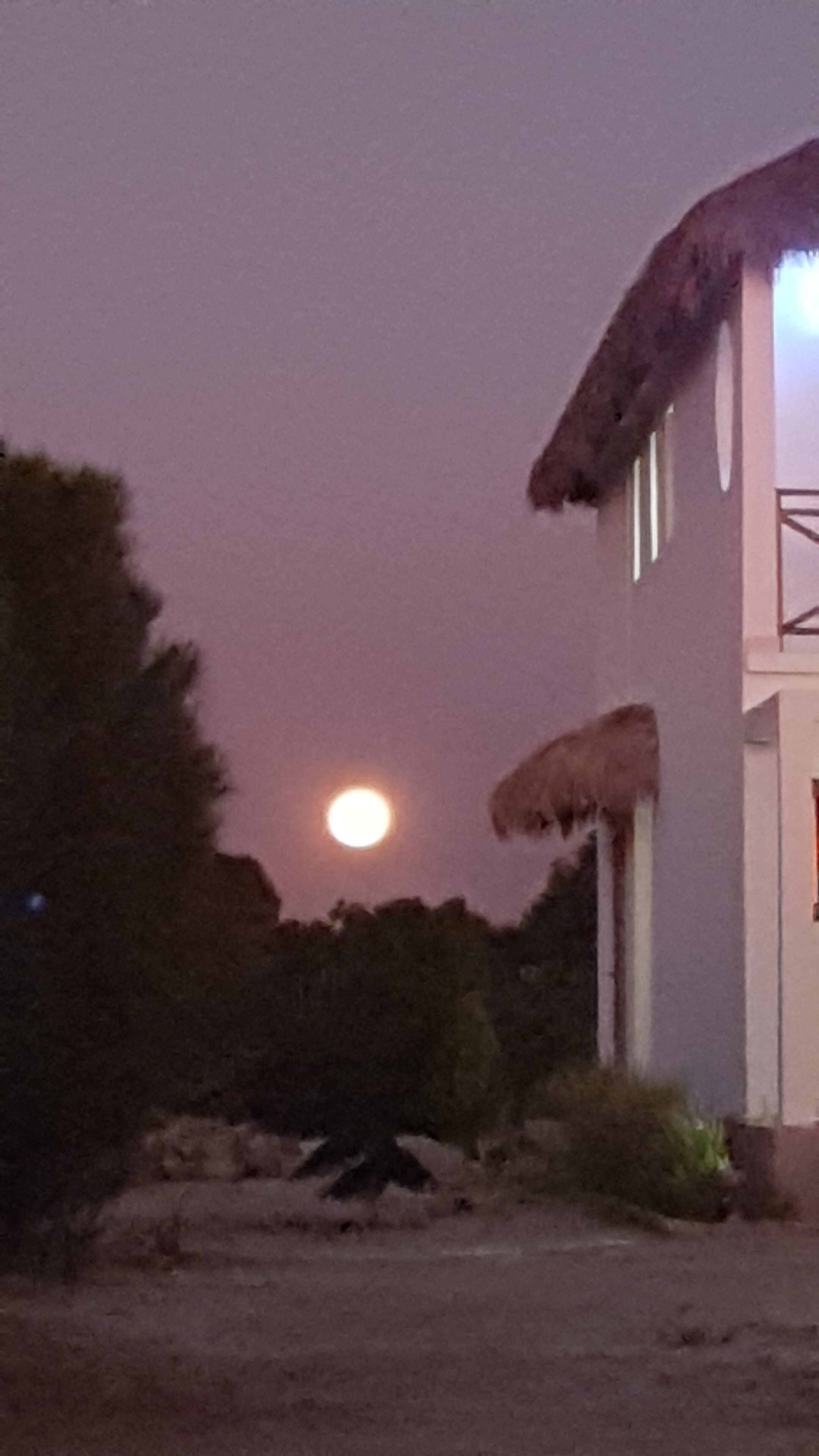 A building with a thatched roof and a visible moon in the sky.