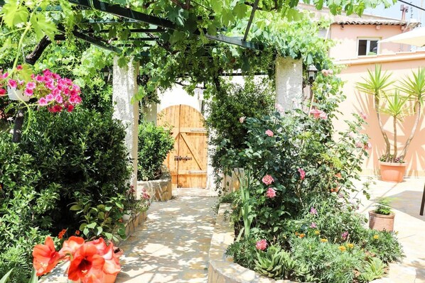 House | Property grounds