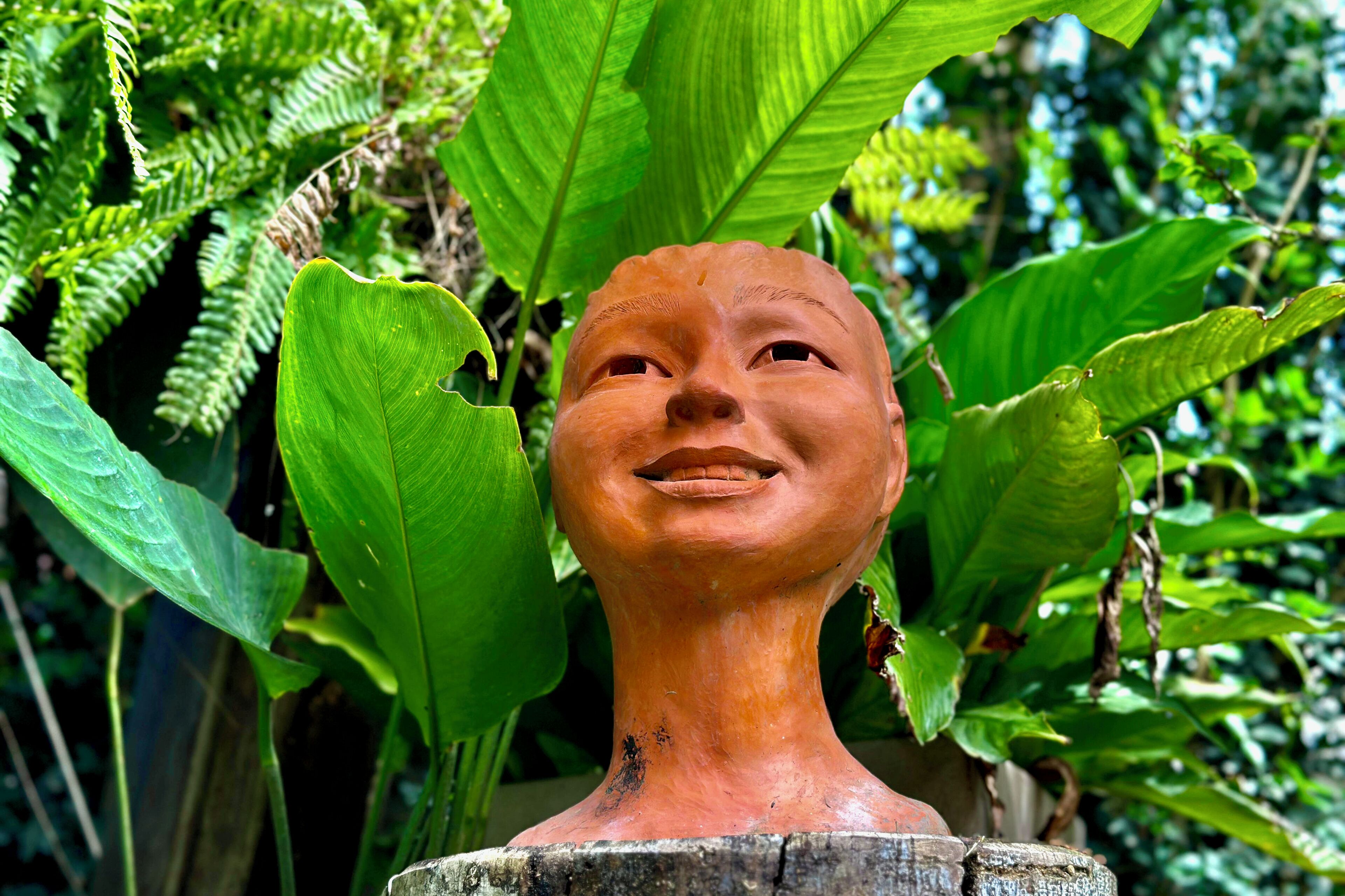 Una escultura de cabeza humana con expresión neutra, rodeada de abundante follaje verde.