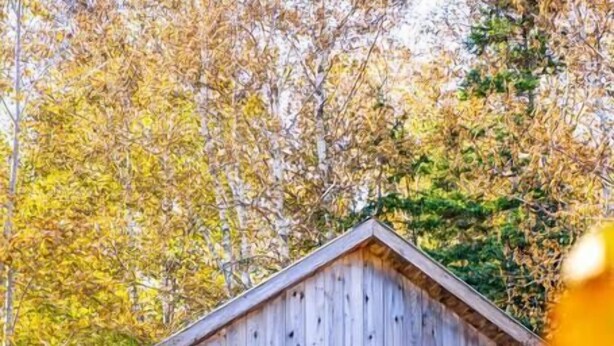 A rustic wooden cabin with a front porch, a door, and windows. - Trailside Cottage #4 (Wreck Cove)