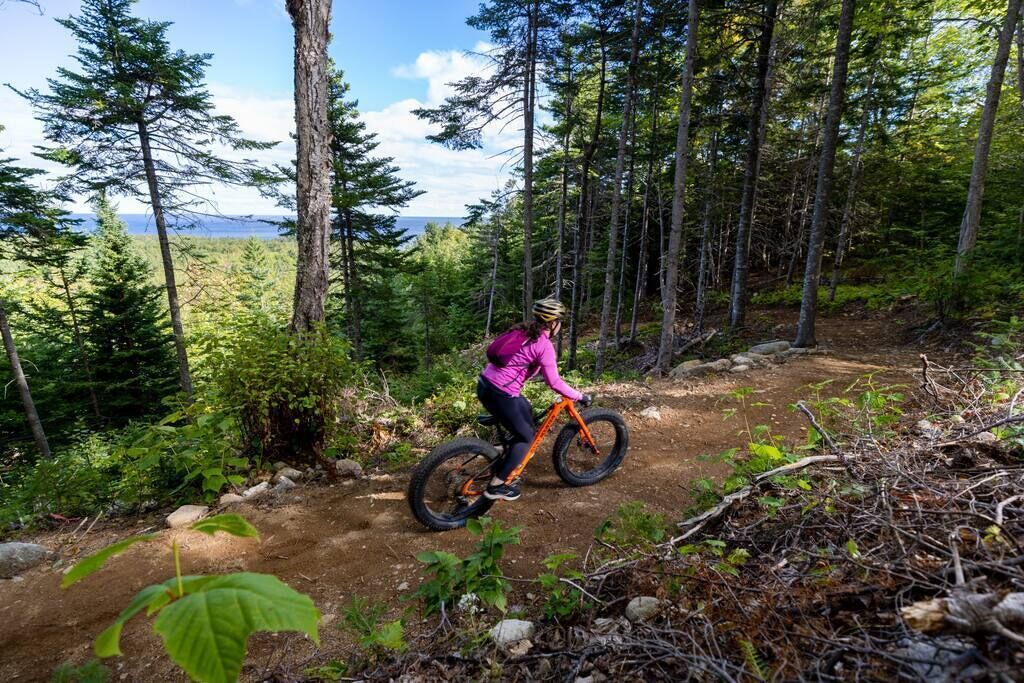 A person riding a mountain bike on a dirt trail surrounded by dense forest.