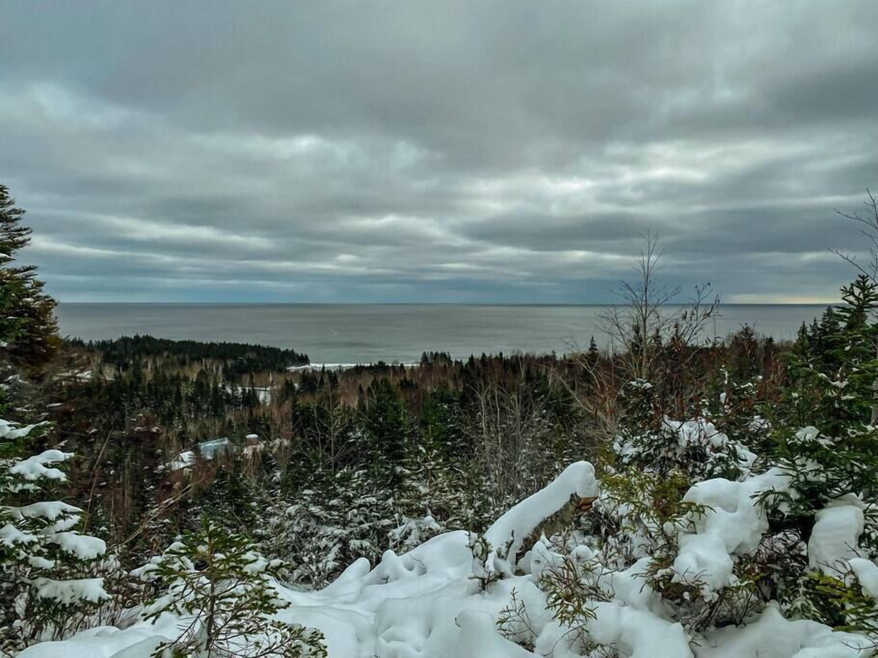 Een besneeuwd landschap met een bos en uitzicht op de oceaan.