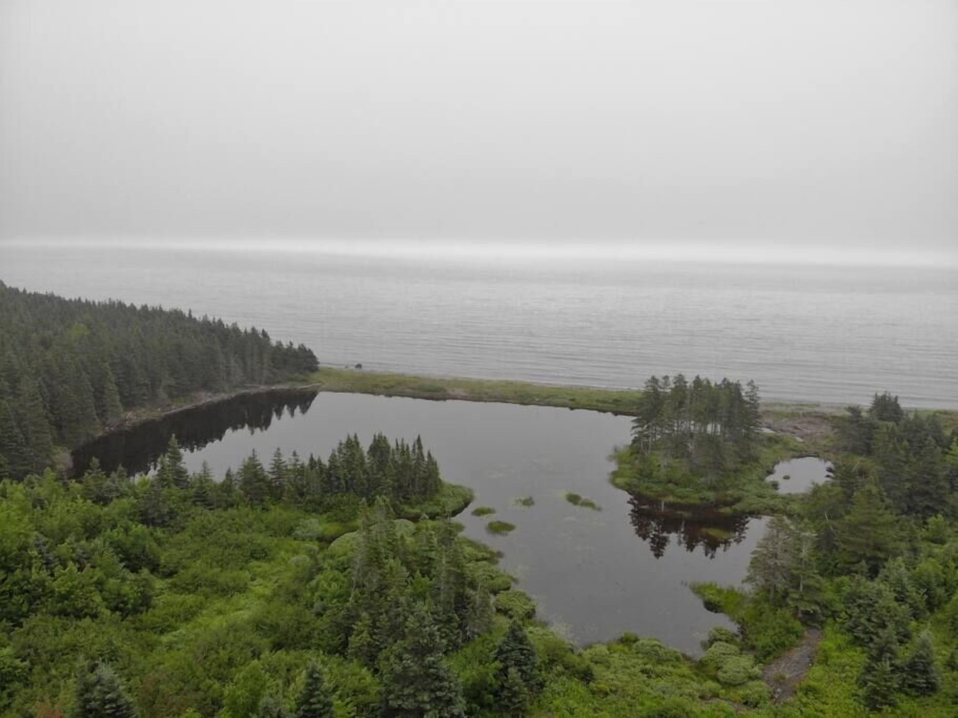 Een natuurlandschap met een meer, omringd door dicht bos.