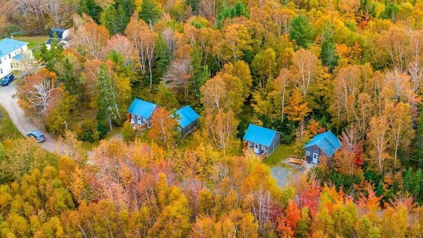 An aerial view of a forested area with several cabins with blue roofs, surrounded by autumn-colored trees. - Trailside Cottage #2 (Victoria County)