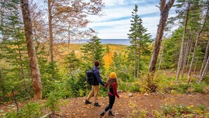 A forested area with a dirt path, trees, and a view of the water. - Trailside Cottage #2 (Victoria County)
