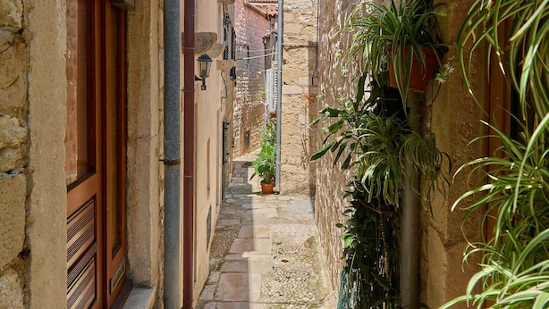 A narrow cobblestone alley with stone buildings, a wooden door, and potted plants. - Hedera Estate, Hedera A6 (Dubrovnik)