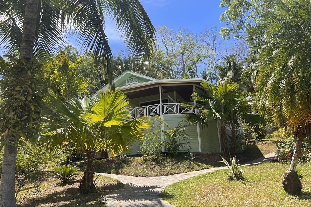 A small, single-story building with a green roof and white walls, surrounded by palm trees and other tropical vegetation.