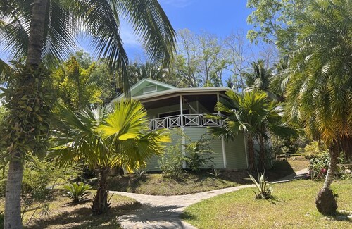 Los Olingos Lodge - Bird Paradise