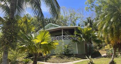 Los Olingos Lodge - Bird Paradise