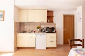 Private kitchen - Studio Apartment (Radovljica)