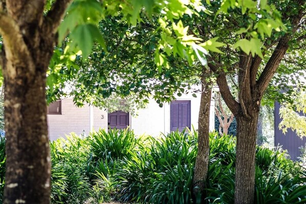 Jardines del alojamiento