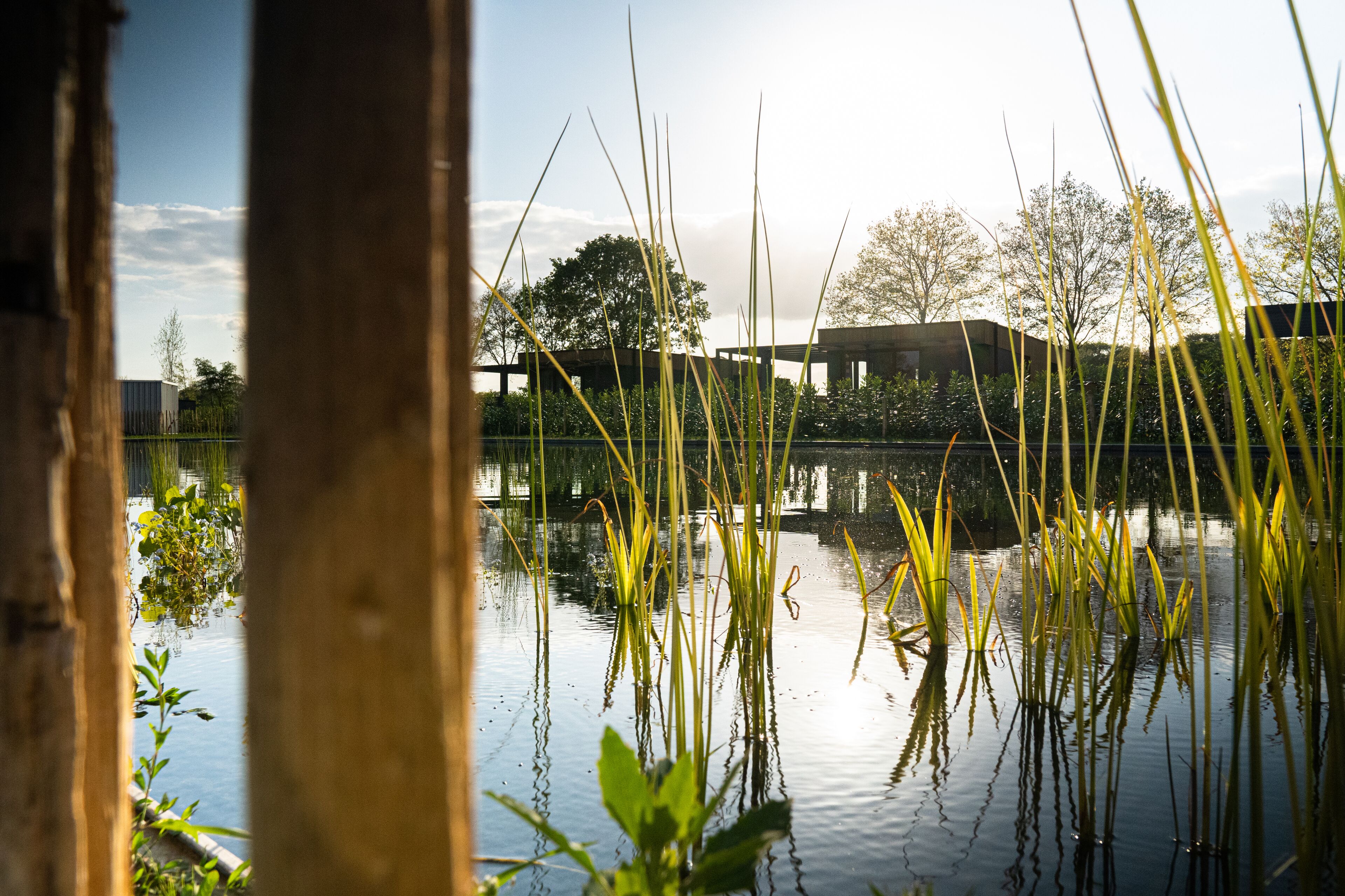 Utendørsbasseng, bassengparasoller og solsenger