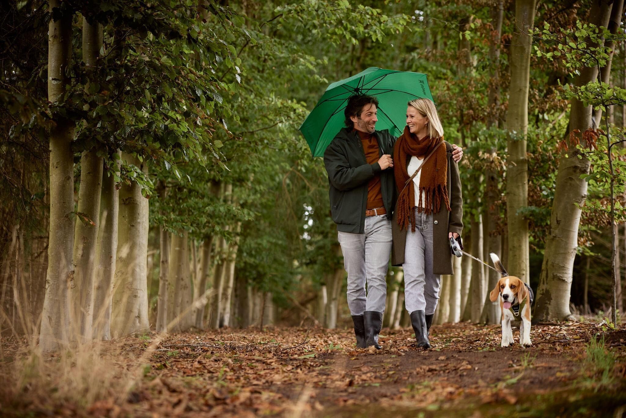 A couple walking a dog on a leaf-covered path in a forested area.