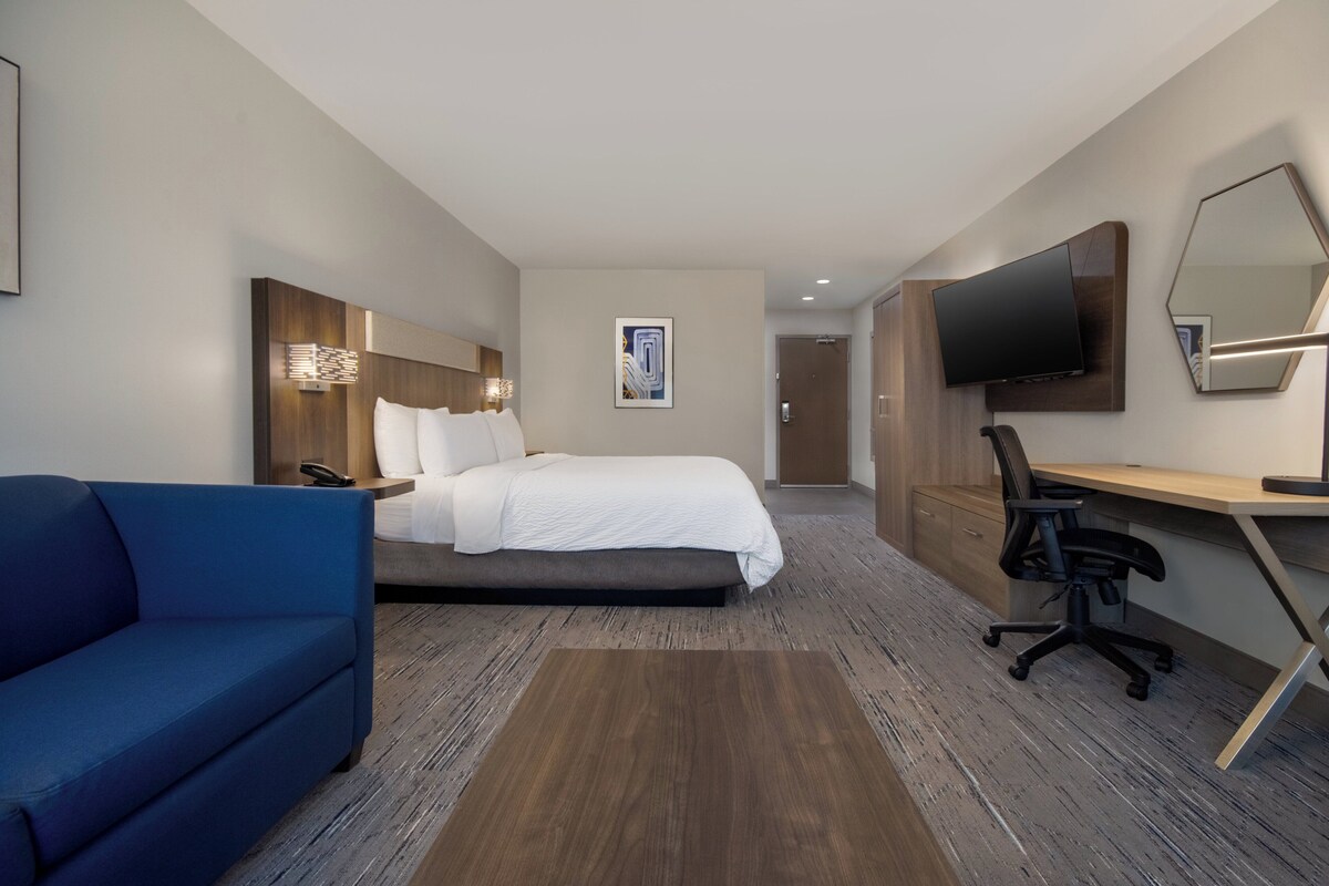 Una camera d'albergo con un letto, una scrivania, una sedia, una TV e un divano.