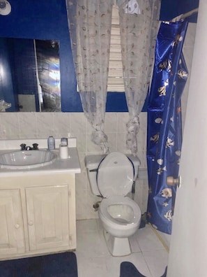 Serviettes fournies, savon, papier toilette
