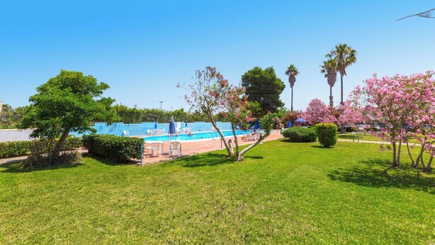 Un área de piscina con cielo azul despejado, rodeada de césped verde y árboles con flores rosadas.