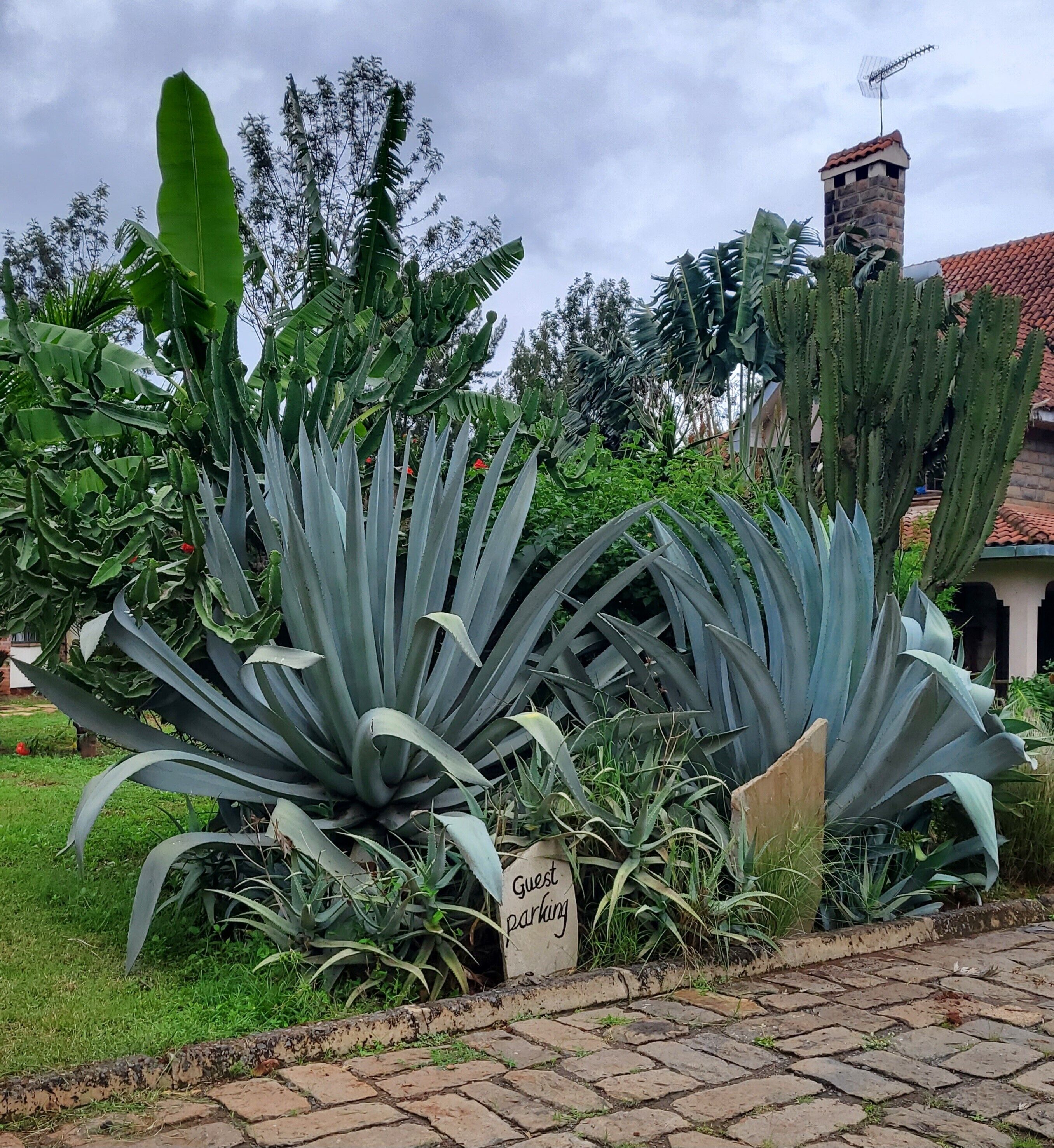 Foto - Edaala Comfort - Cottage Rooms