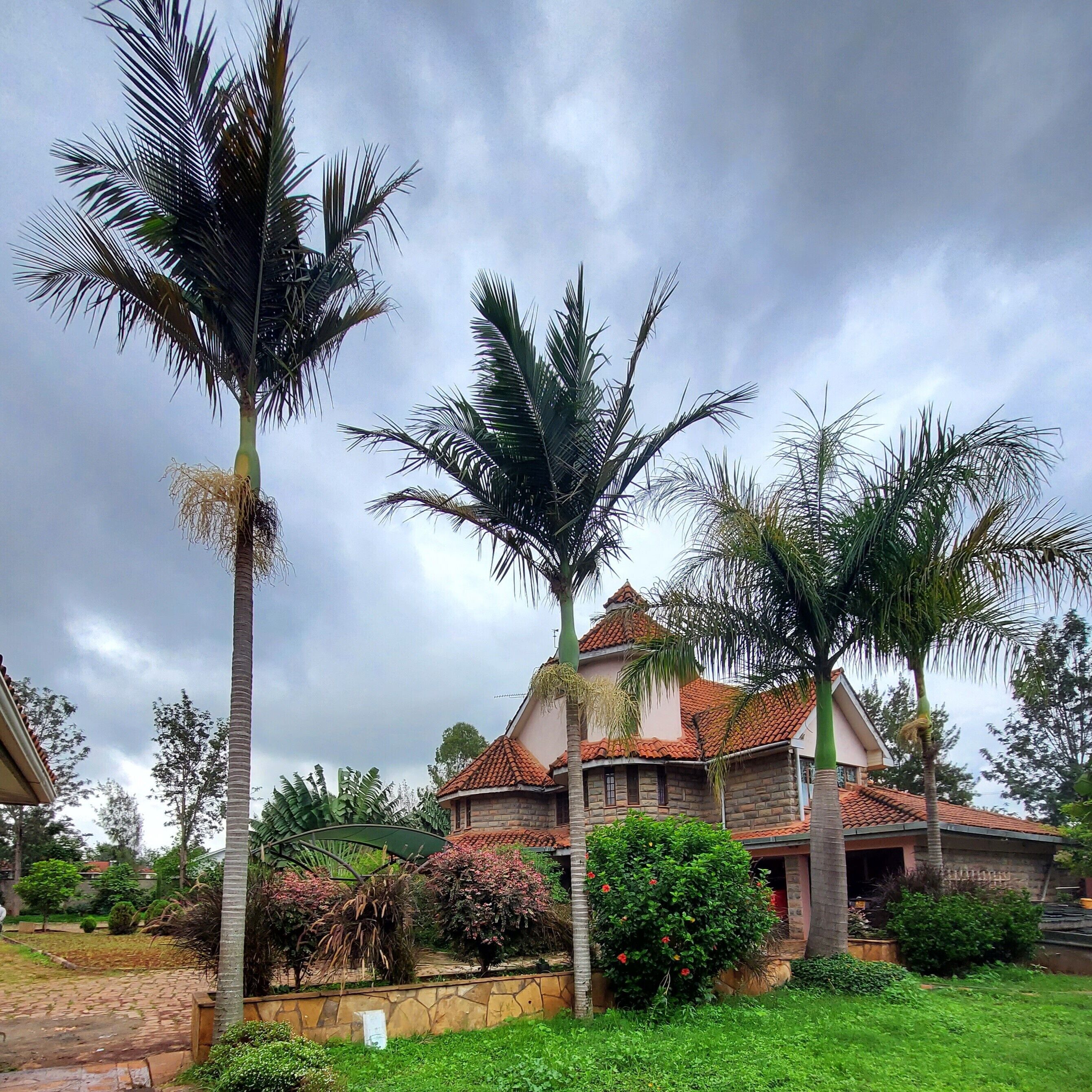 Foto - Edaala Comfort - Cottage Rooms