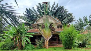 A house with a tiled roof, surrounded by lush greenery and banana plants. - Edaala Comfort (Nairobi)