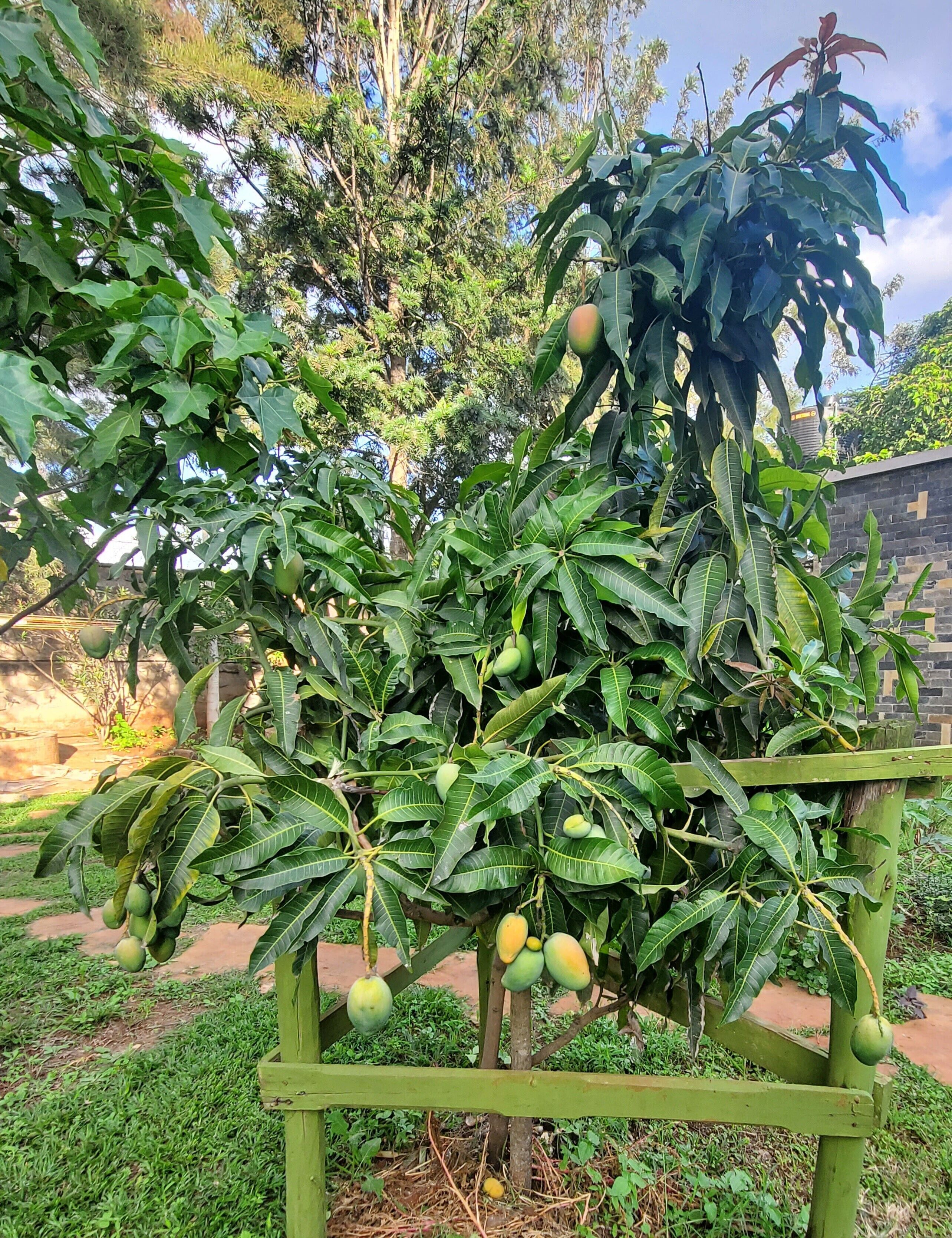 Photo - Edaala Comfort - Cottage Rooms