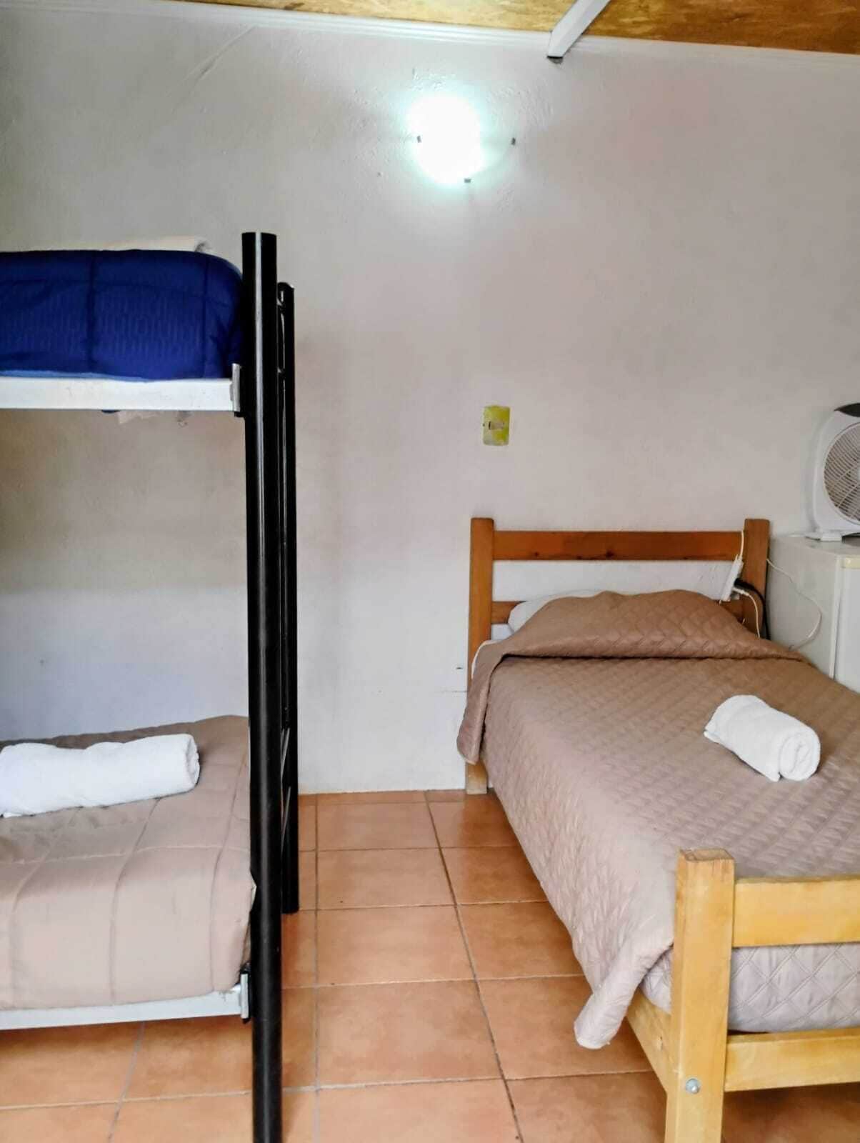 经典四人房 | 羽绒被、免费 WiFi、床单