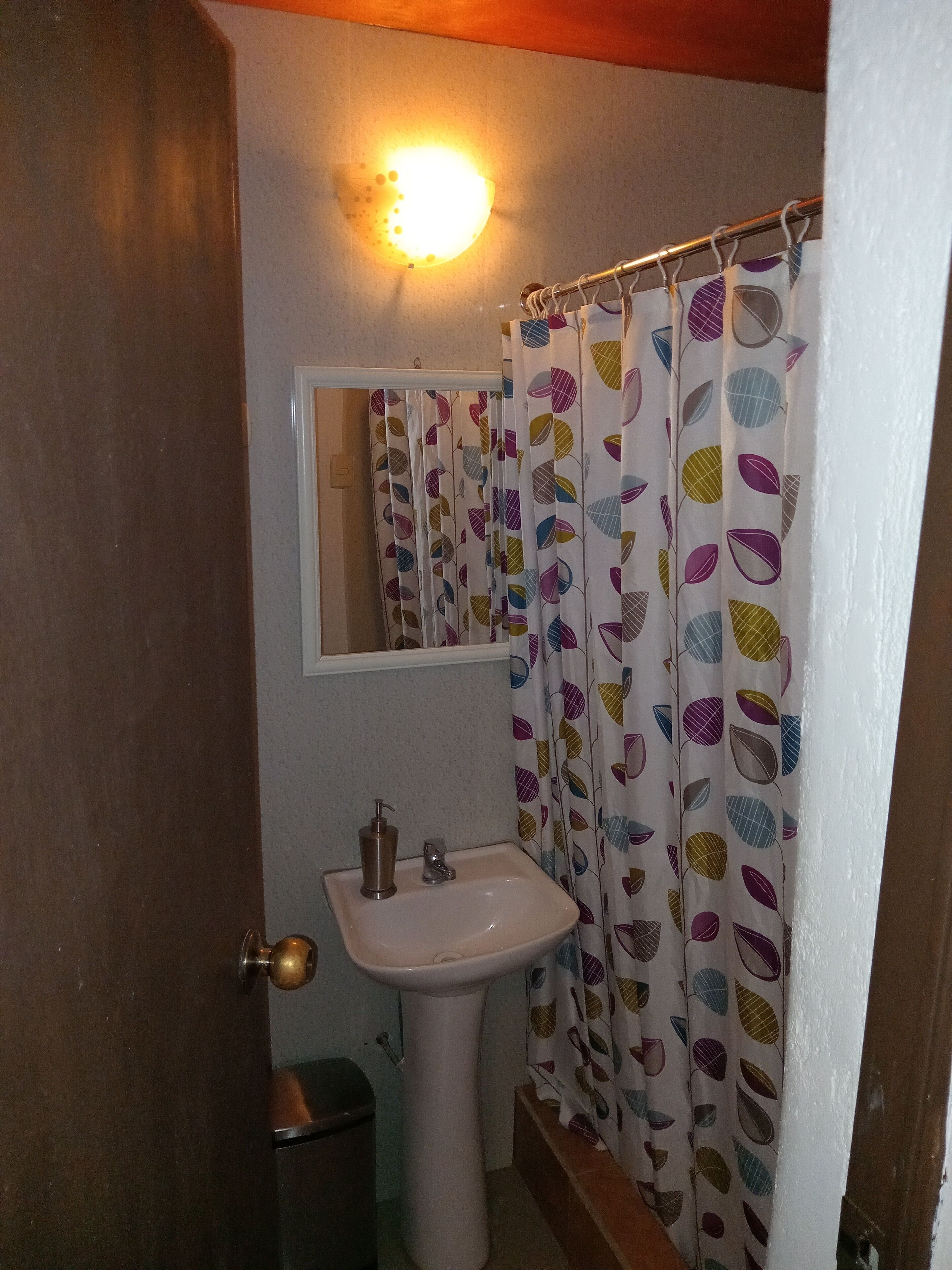 A bathroom with a white sink, a mirror above it, and a shower curtain with a leaf pattern.