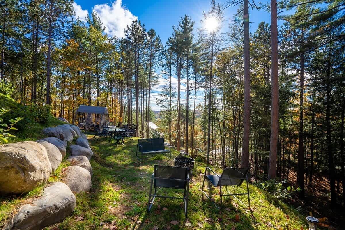 A forested area with a small cabin and outdoor seating.