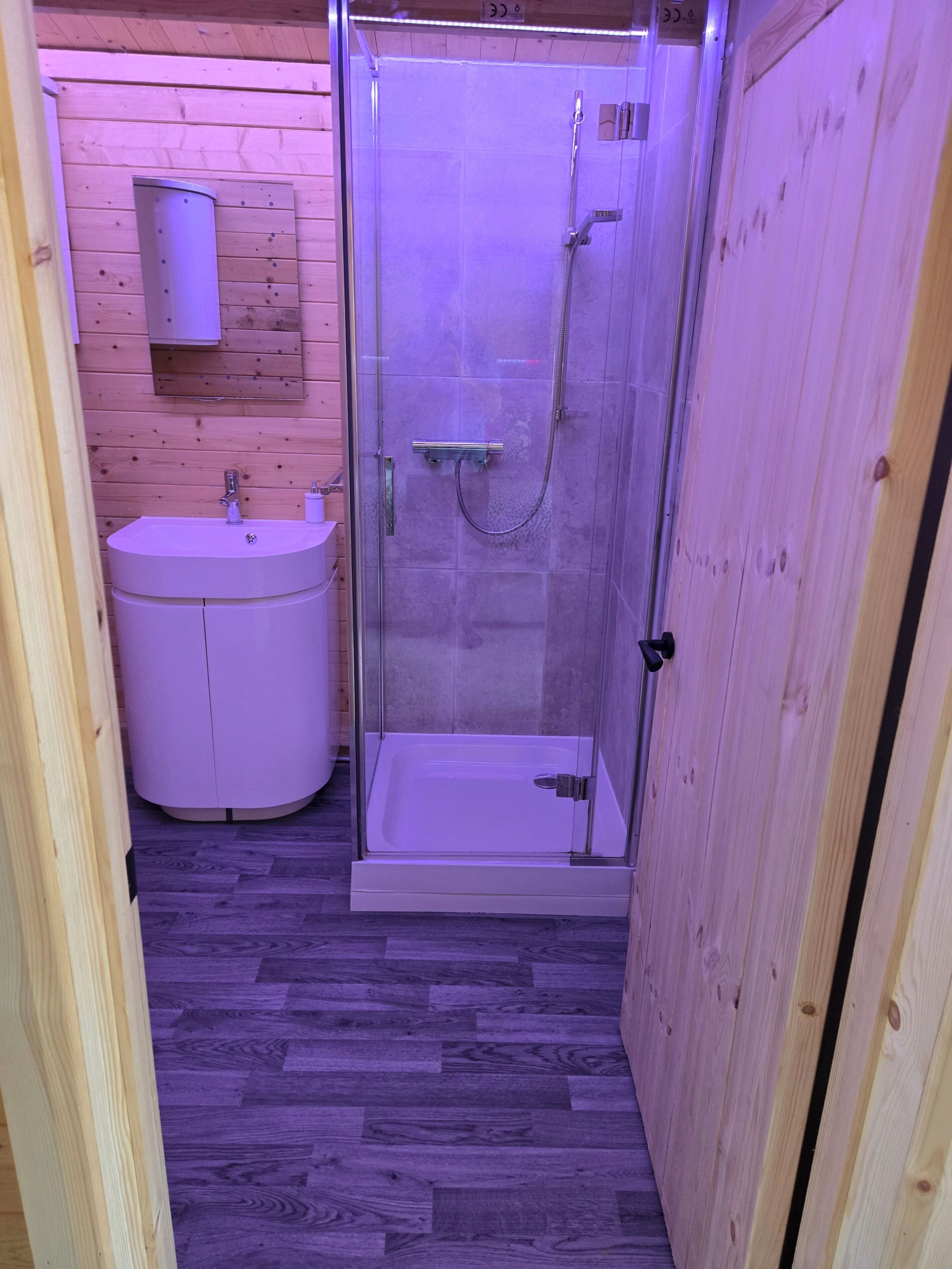 A small, enclosed bathroom with a glass shower enclosure, a sink, and a toilet.