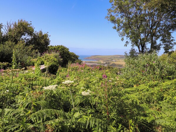 A lush garden with various plants and trees, a clear blue sky, and a distant view of the coastline. - Penfeidr Newydd (Newport)