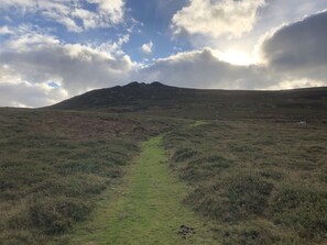 A grassy path leading to a mountain. - Penfeidr Newydd (Newport)