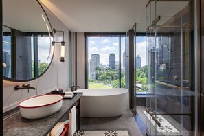 Een douche, een regendouche, gratis toiletartikelen, een haardroger