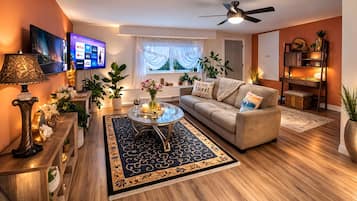 Smart TV, fireplace, books
