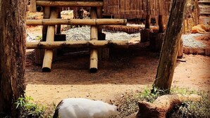 A rustic wooden structure with a thatched roof, surrounded by trees and a dirt ground. - San Vicente (San Vicente)