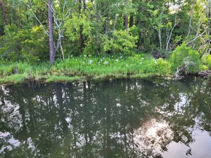 Property grounds - Private Rustic Creekside RV+15 Min drive to Beach Fenced Parking Lot (Fort Walton Beach)
