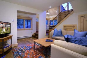TV, fireplace, offices