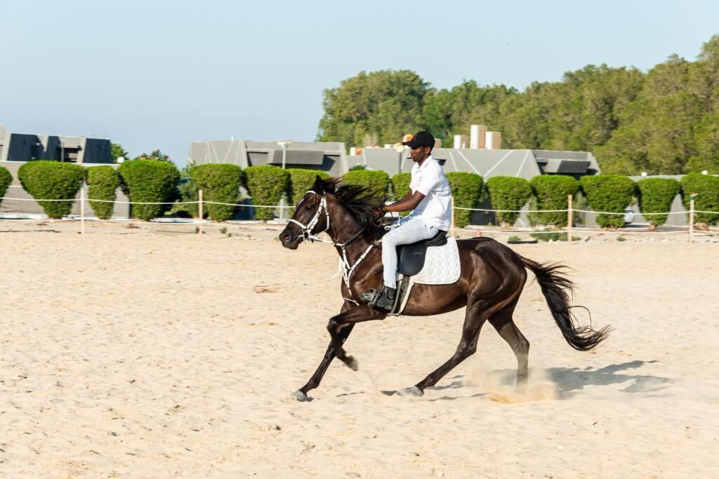 Een ruiter op een paard in een openbare arena met een zandbodem, omringd door keurig geknipte hagen en moderne gebouwen op de achtergrond.