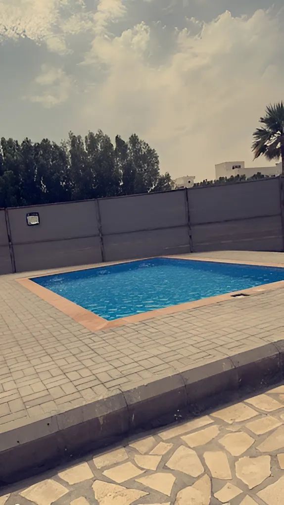 A swimming pool with a tiled deck, surrounded by a low wall and a palm tree.