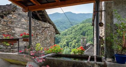 Il Gianlupo Grigio by Interhome