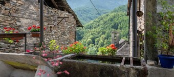Il Gianlupo Grigio by Interhome