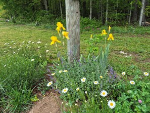 Property grounds - Cozy Homestead Living in a Treetent getaway (Grandview)
