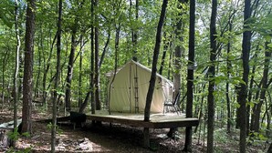 Une zone boisée abritant une seule structure ressemblant à une tente, soutenue par des poutres en bois.