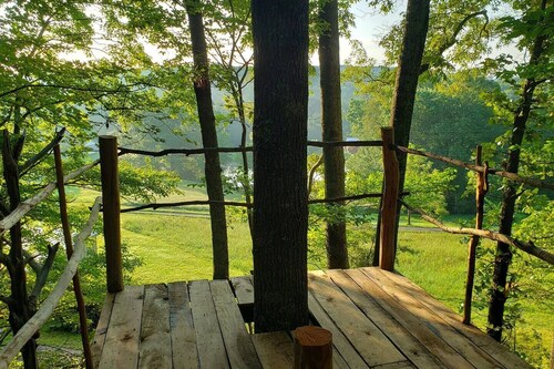 Stargazer: a Unique forest immersive experience