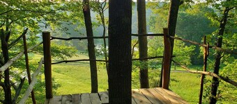 Stargazer: a Unique forest immersive experience