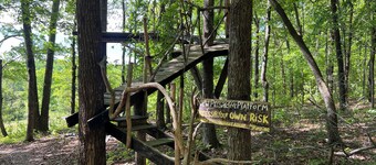 Stargazer: a Unique forest immersive experience