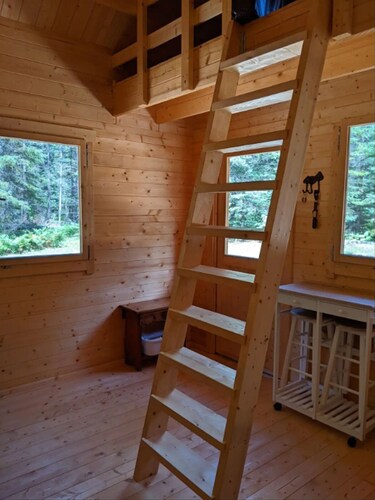 Moose Run, a PRIVATE Pine Cabin in the Woods near Algonquin Park, Ontario.
