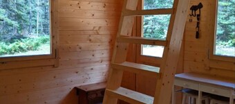 Moose Run, a PRIVATE Pine Cabin in the Woods near Algonquin Park, Ontario.