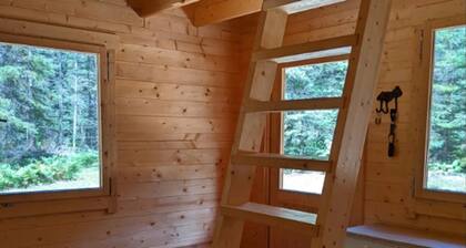 Moose Run, a PRIVATE Pine Cabin in the Woods near Algonquin Park, Ontario.