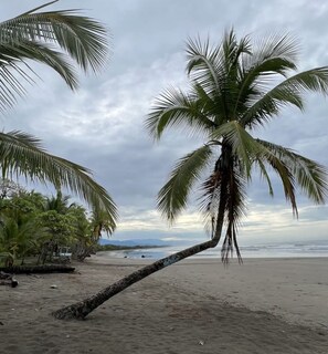 Sun loungers, beach towels