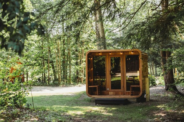 Une cabane en bois avec une façade en verre, située dans une zone boisée, près d’un sentier bordé d’herbe.